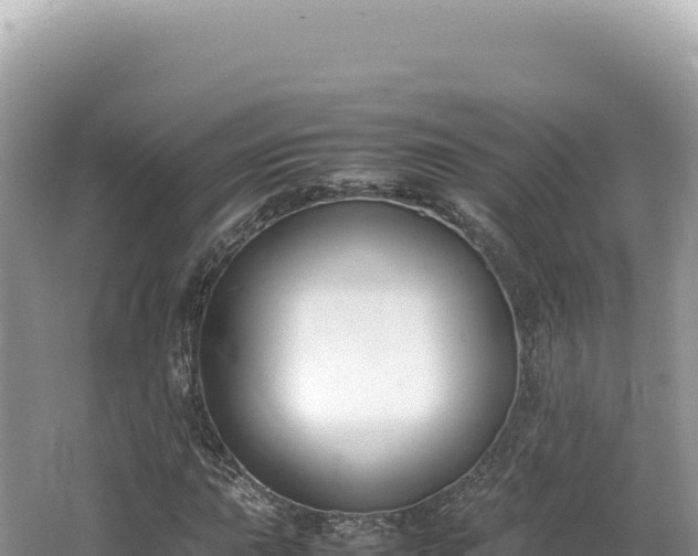 X0000062151015200512121302