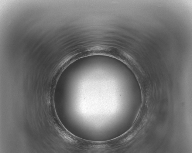 X0000062151017200512121302