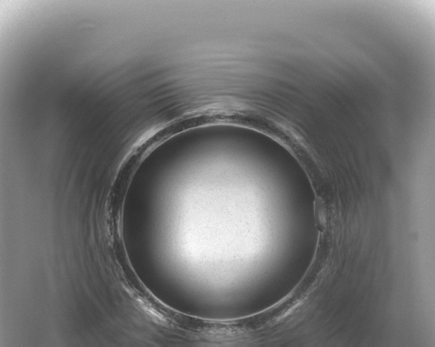 X0000062151018200512121302