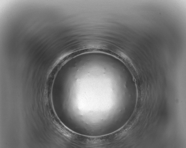 X0000062151019200512121302