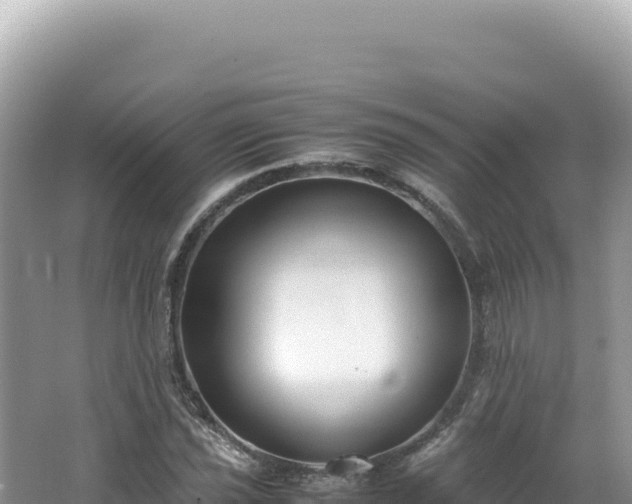 X0000062151021200512121302