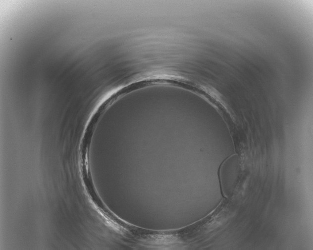 X0000062151024200512121302