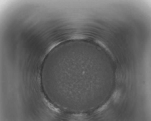 X0000062151025200512121302