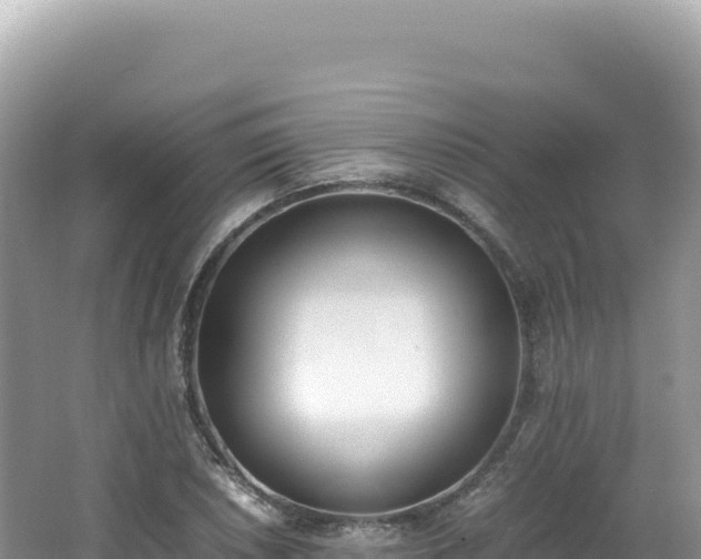 X0000062151026200512121302