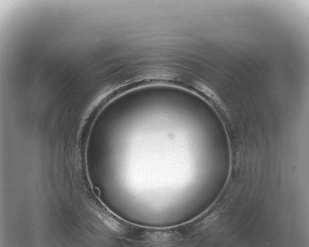 X0000062151027200512121302