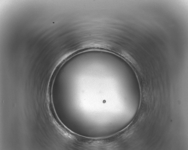 X0000062151028200512121302