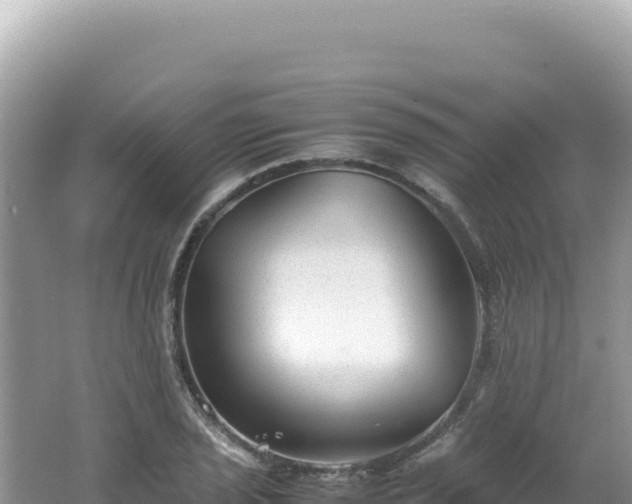 X0000062151029200512121302