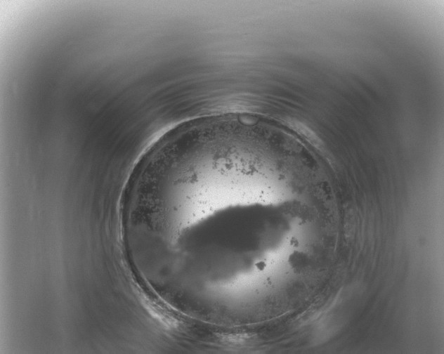 X0000062151031200512121302