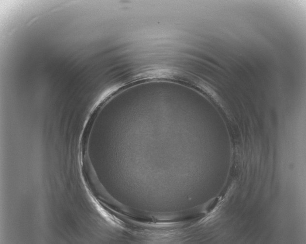 X0000062151034200512121302