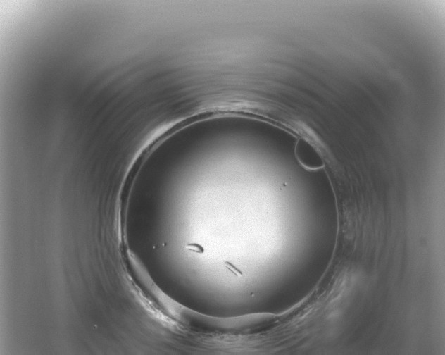 X0000062151036200512121302