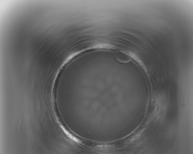 X0000062151037200512121302