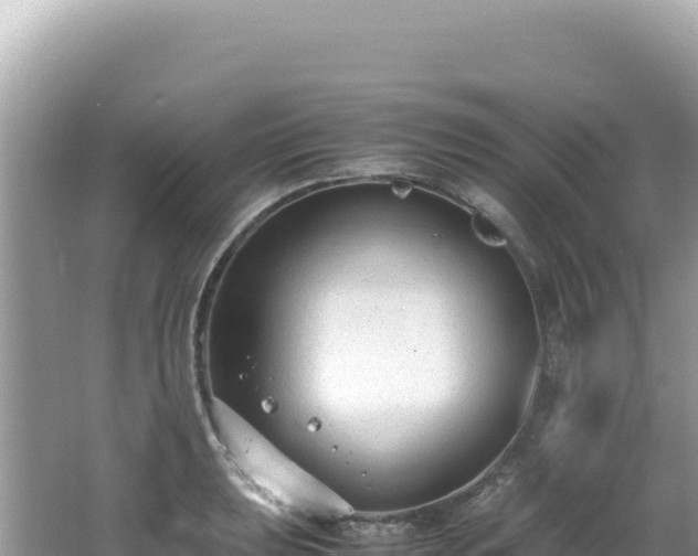 X0000062151039200512121302