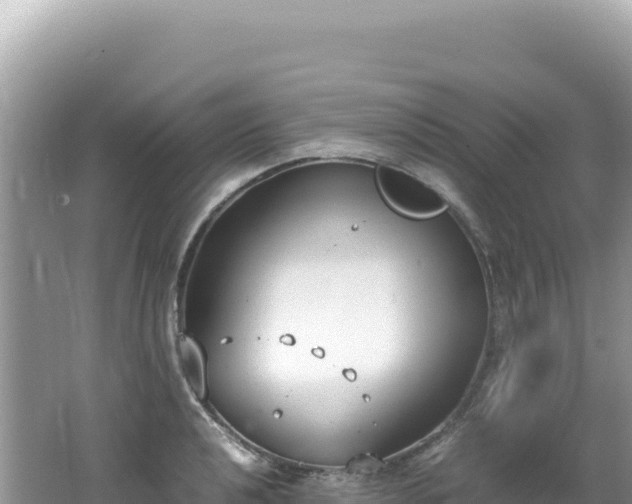 X0000062151040200512121302