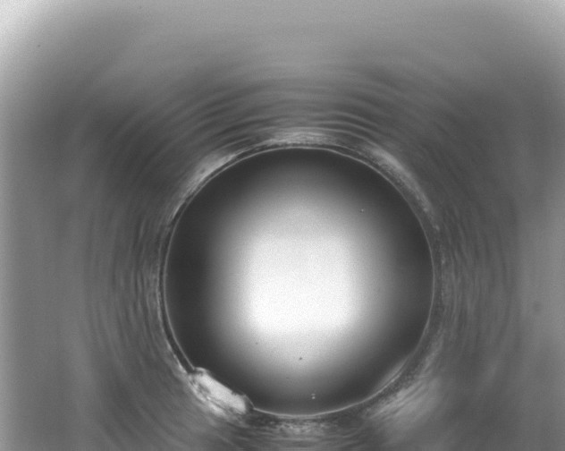 X0000062151041200512121302