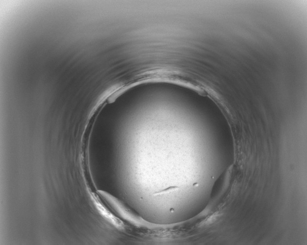 X0000062151042200512121302