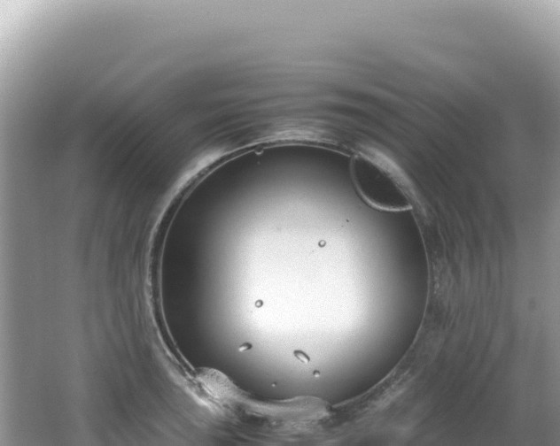 X0000062151043200512121302