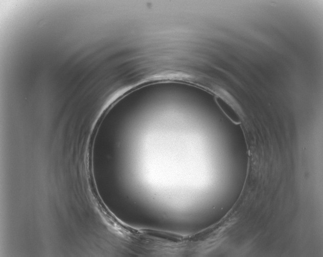 X0000062151044200512121302