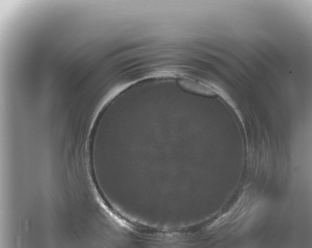 X0000062151045200512121302