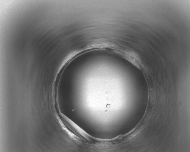 X0000062151046200512121302