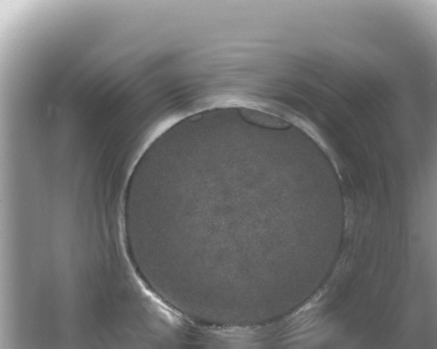 X0000062151048200512121302