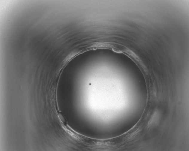 X0000062151049200512121302