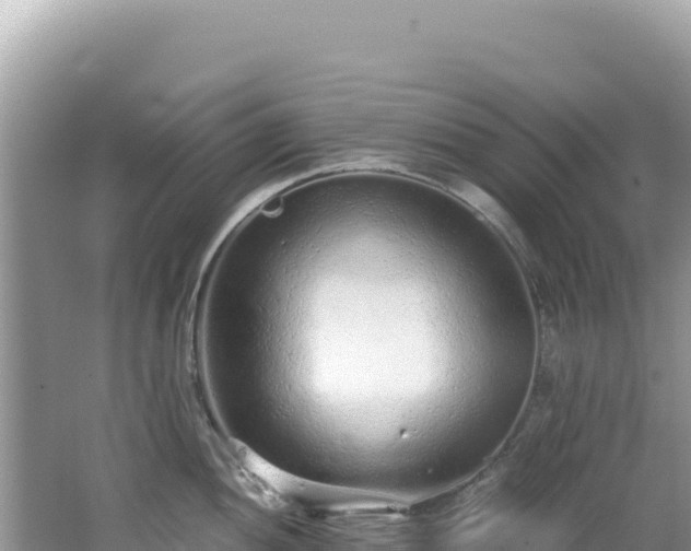 X0000062151052200512121302