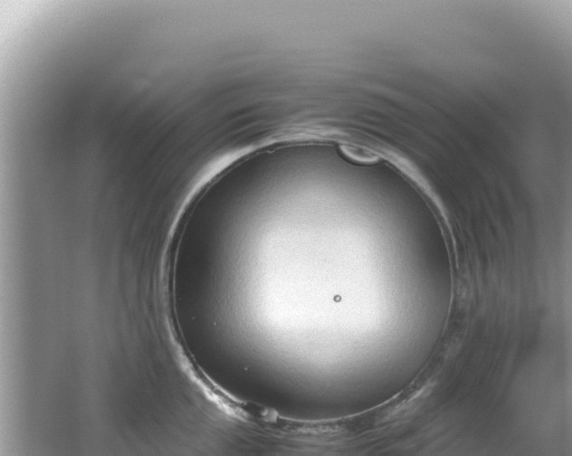 X0000062151053200512121302