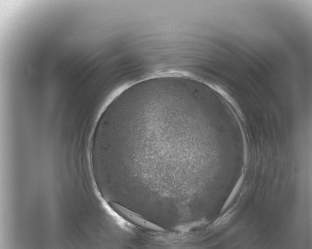 X0000062151054200512121302