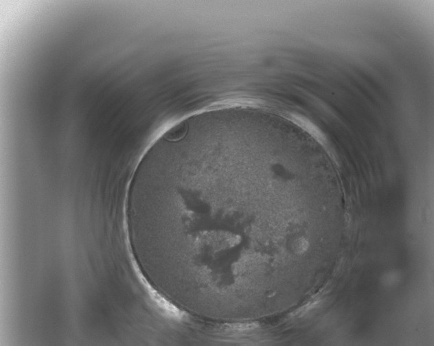 X0000062151055200512121302