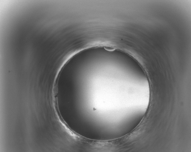 X0000062151056200512121302