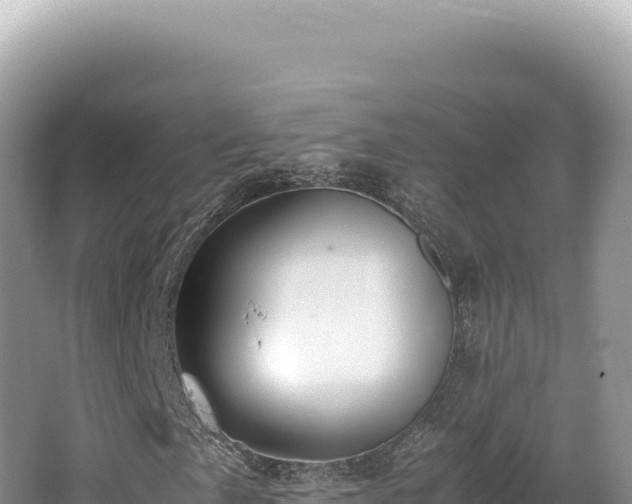 X0000062151057200512121302