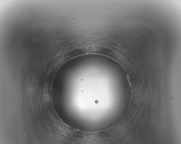 X0000062151058200512121302