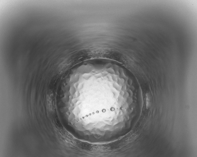 X0000062151059200512121302