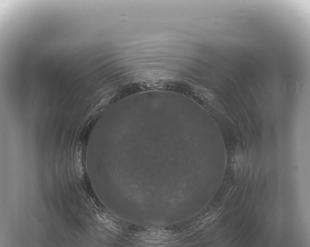 X0000062151060200512121302