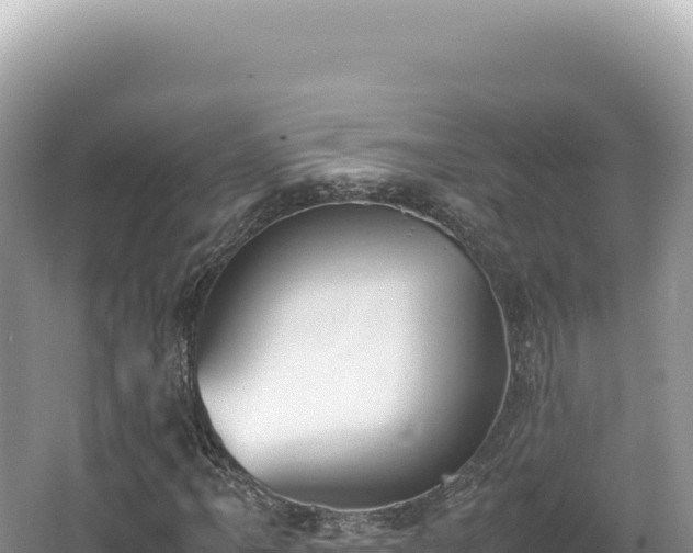 X0000062151061200512121302