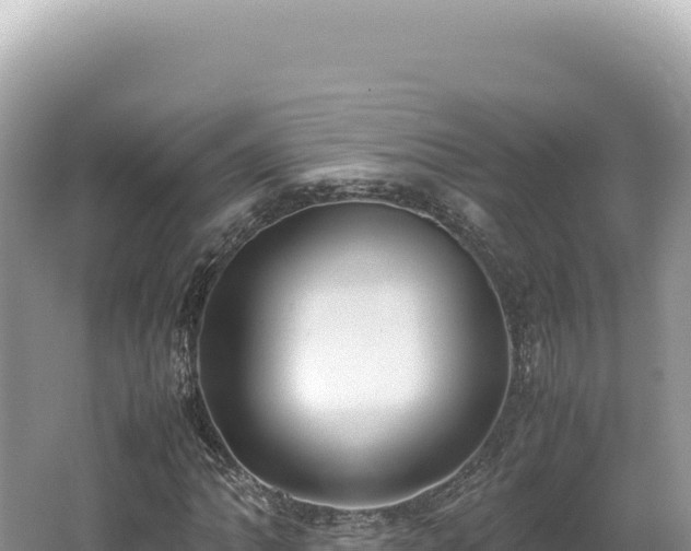 X0000062151062200512121301