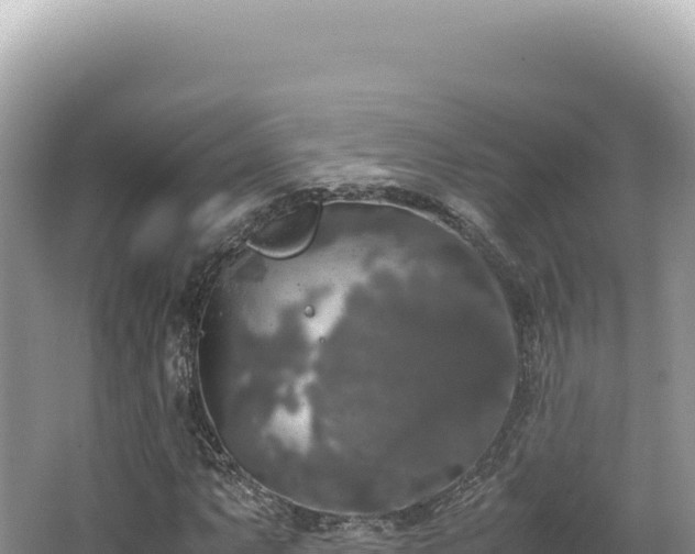 X0000062151063200512121301