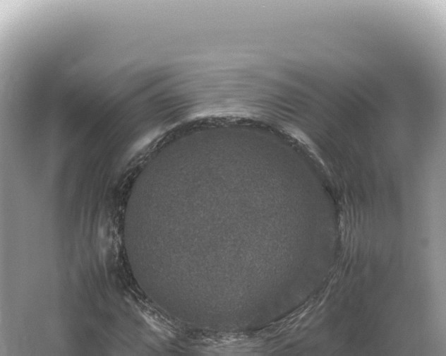 X0000062151064200512121301