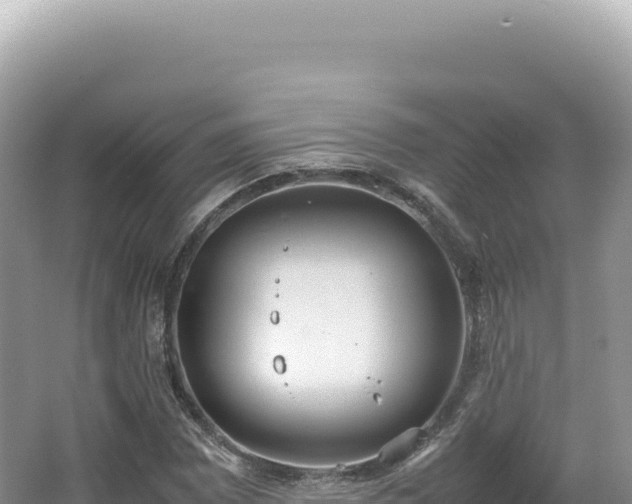 X0000062151065200512121301