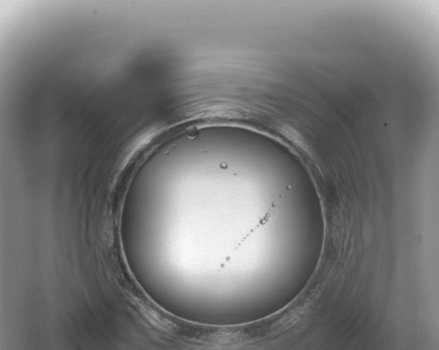 X0000062151067200512121301