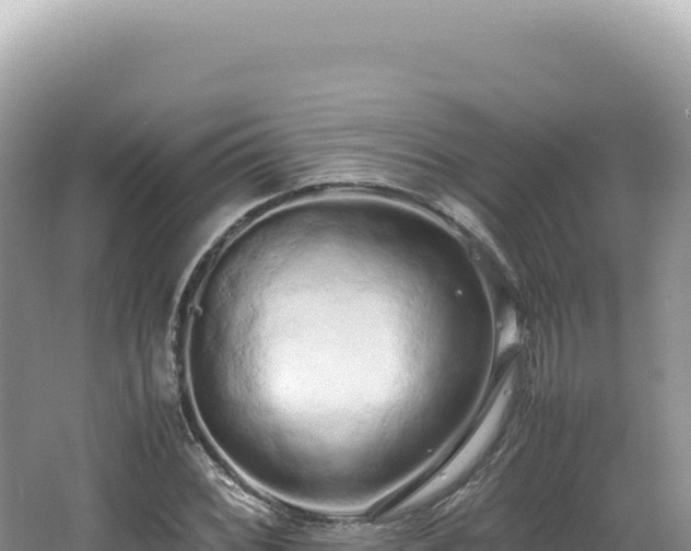 X0000062151068200512121301