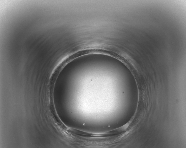 X0000062151069200512121301