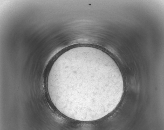 X0000062151070200512121301