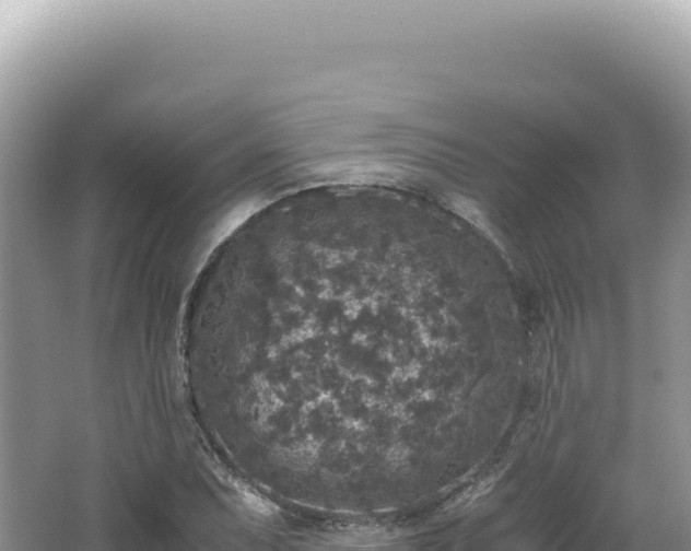 X0000062151071200512121301