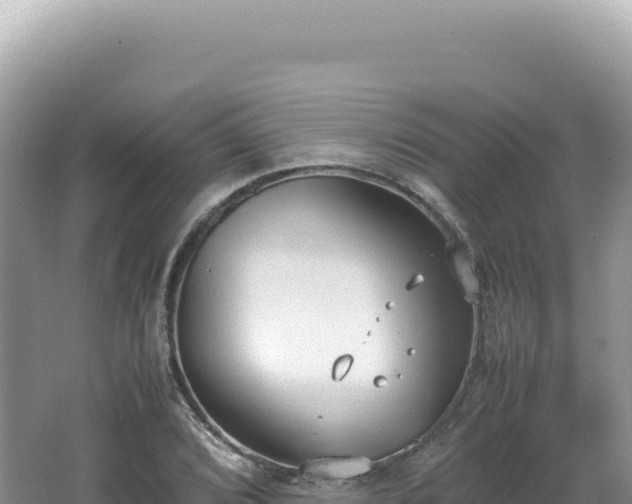 X0000062151072200512121301