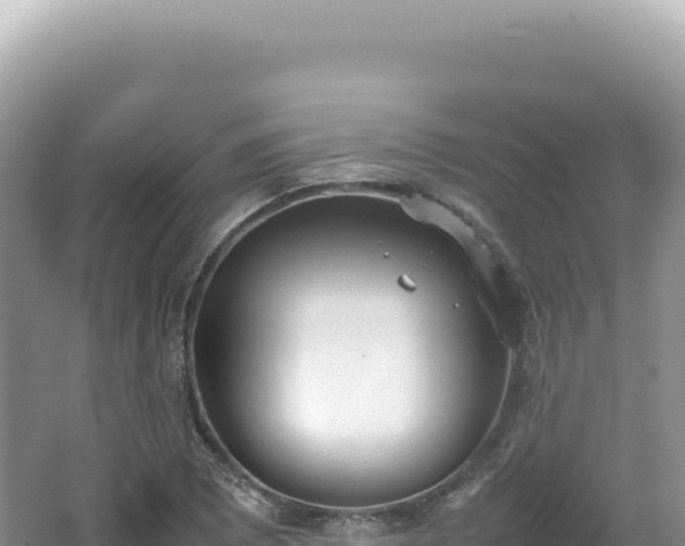 X0000062151073200512121301