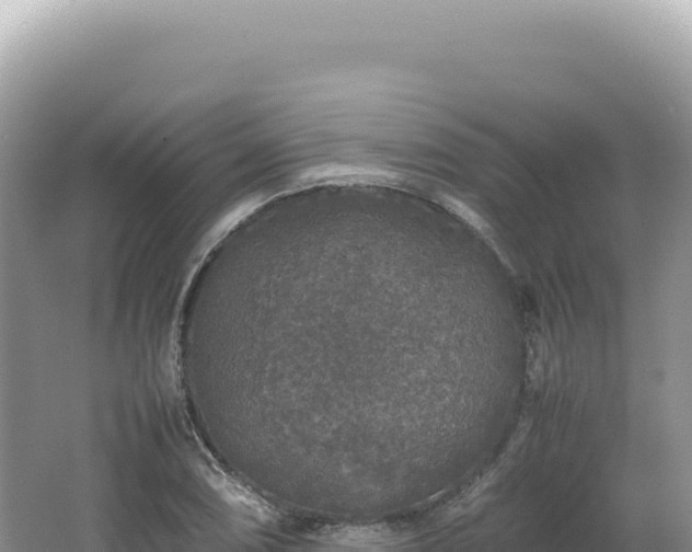 X0000062151074200512121301