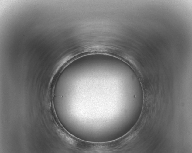 X0000062151075200512121301