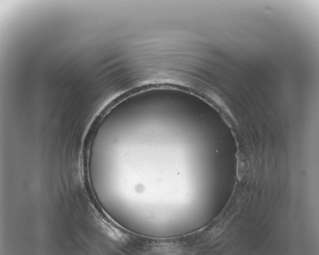 X0000062151076200512121301