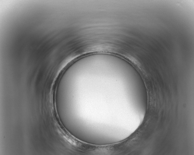 X0000062151078200512121301